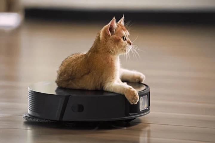 Robot Vacuums With Pets: Paws and Claws Clean-up Guide